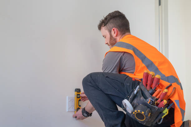 Best Electric Panel Repair  in Alum Rock, CA